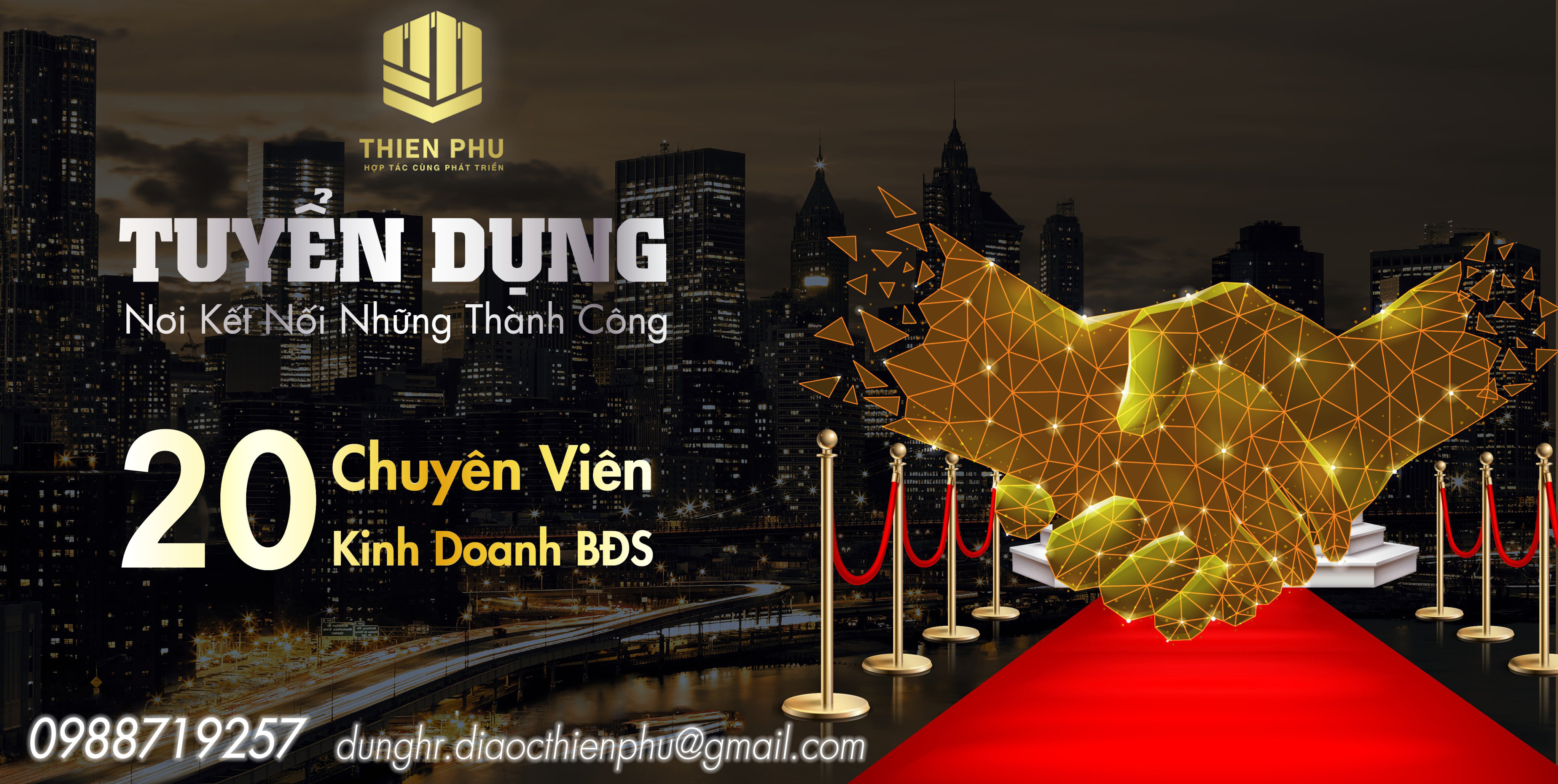 lĩnh vực hoạt động